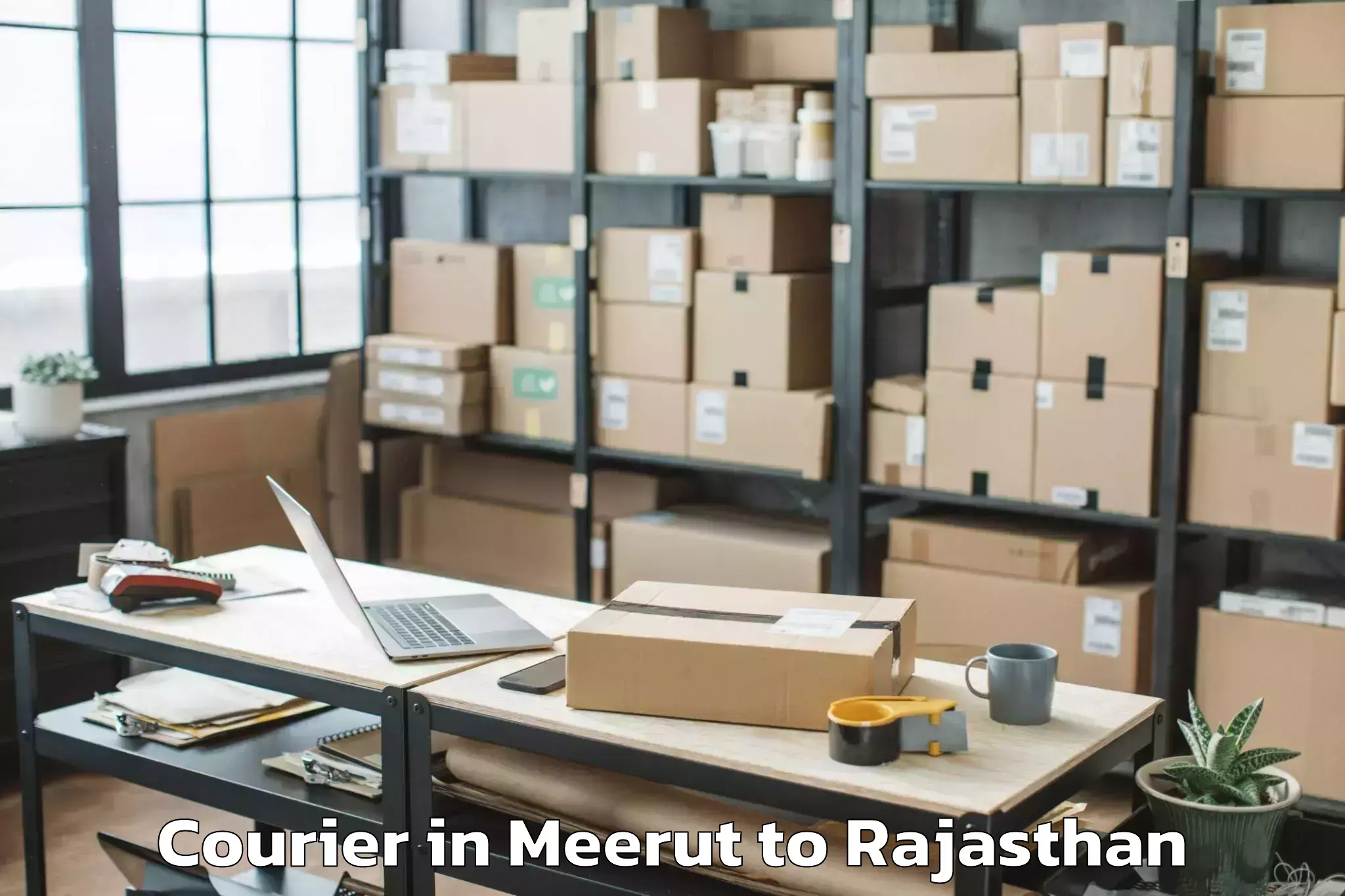 Easy Meerut to Asind Courier Booking